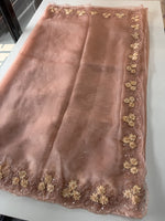 Glass Organza Saree/ HW23