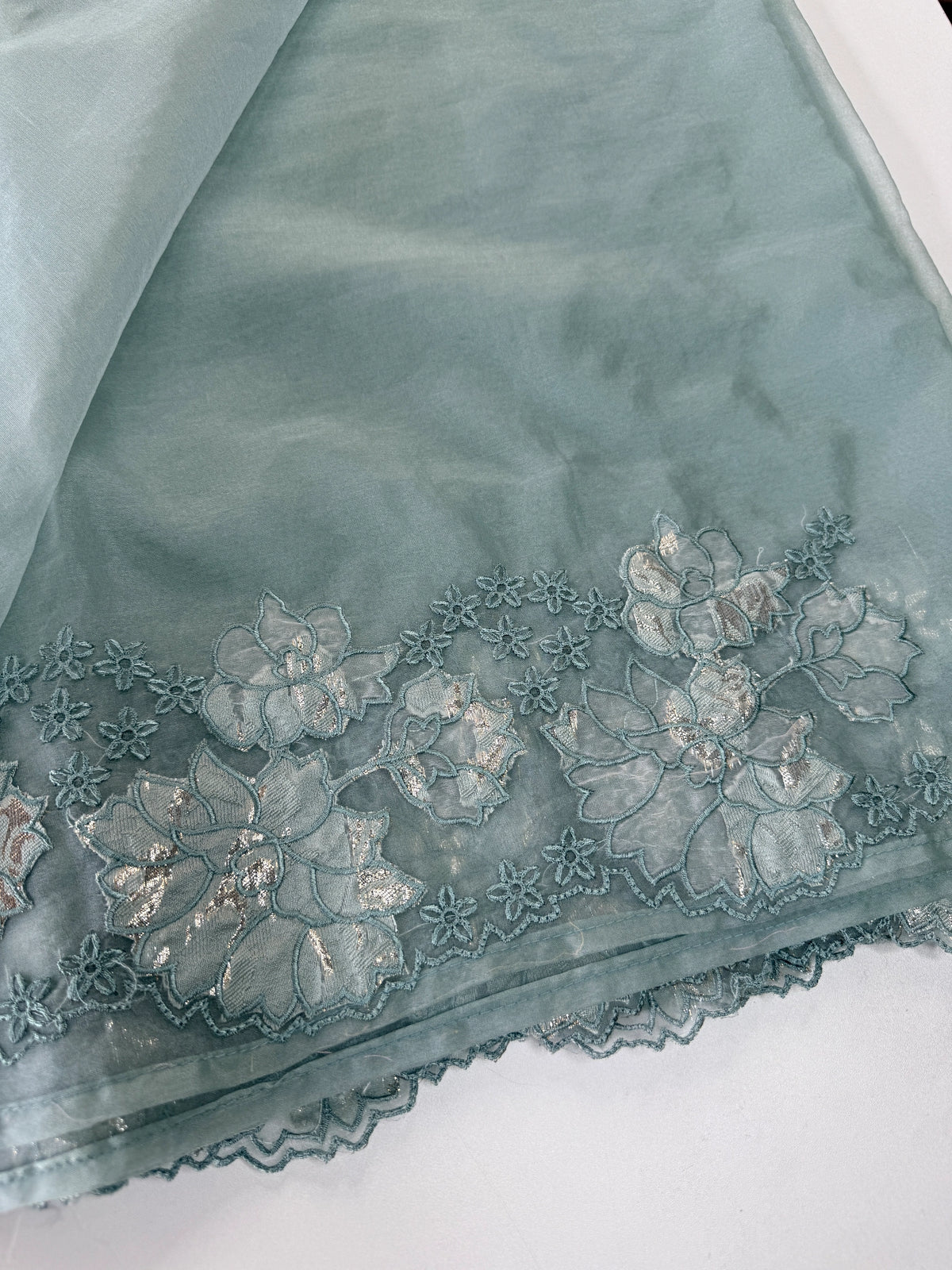 Soft Organza Saree/ CW287
