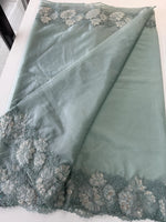 Soft Organza Saree/ CW287