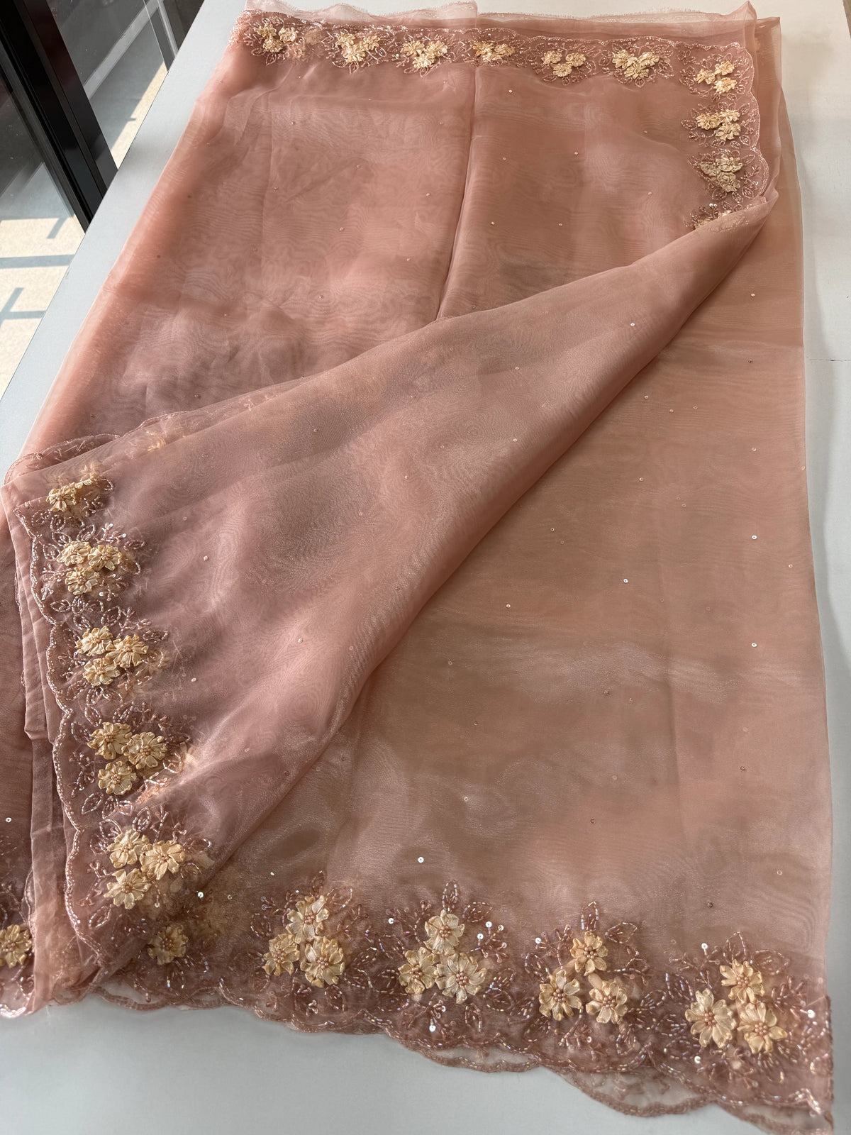 Glass Organza Saree/ HW23