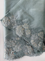Soft Organza Saree/ CW287