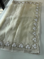 Glass Organza Saree/ HW23