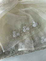 Glass Organza Saree/ HW23