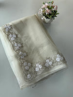 Glass Organza Saree/ HW23