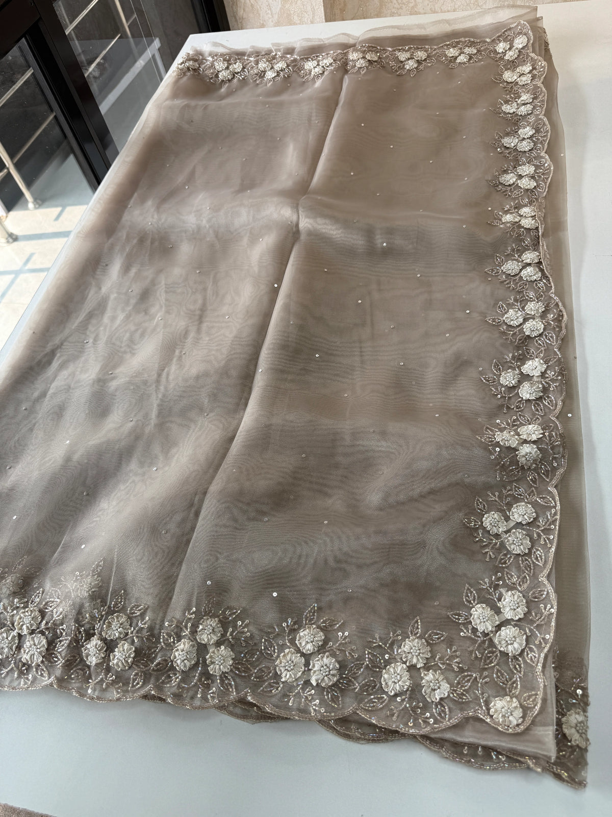 Glass Organza Saree/ HW23