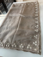 Glass Organza Saree/ HW23
