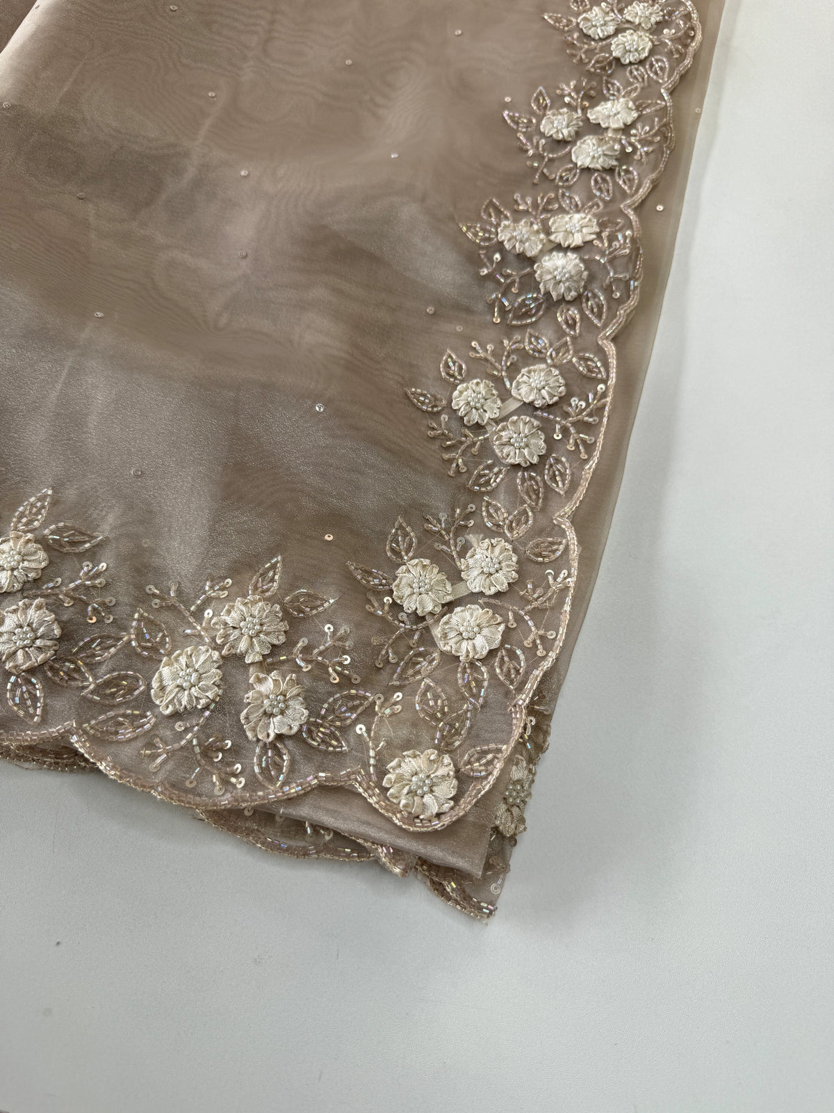 Glass Organza Saree/ HW23