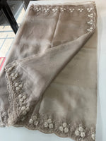 Glass Organza Saree/ HW23