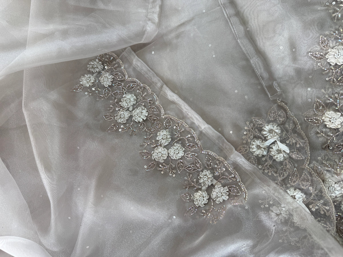 Glass Organza Saree/ HW23
