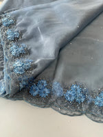 Glass Organza Saree/ HW23