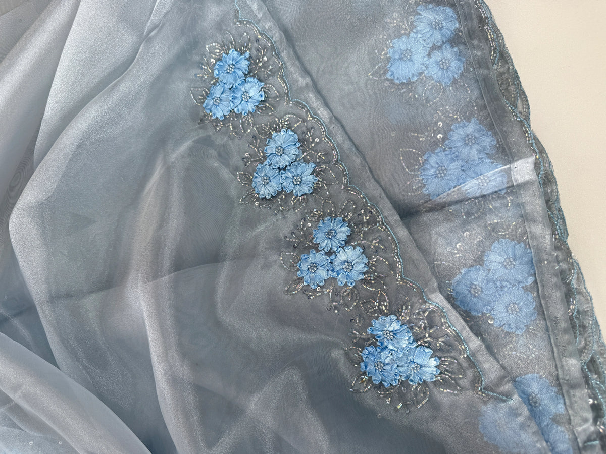Glass Organza Saree/ HW23