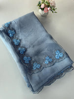 Glass Organza Saree/ HW23