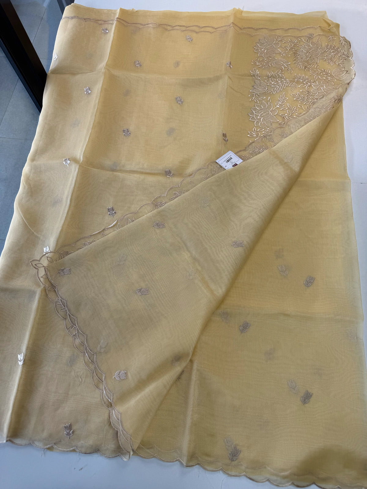 Chanderi Tissue Blend saree design 3/ RF54