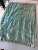 Tissue organza turquoiseblue saree/ MC975