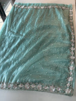 Tissue Organza saree in turquoise blue / SR616