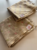 Tissue Saree / SN239