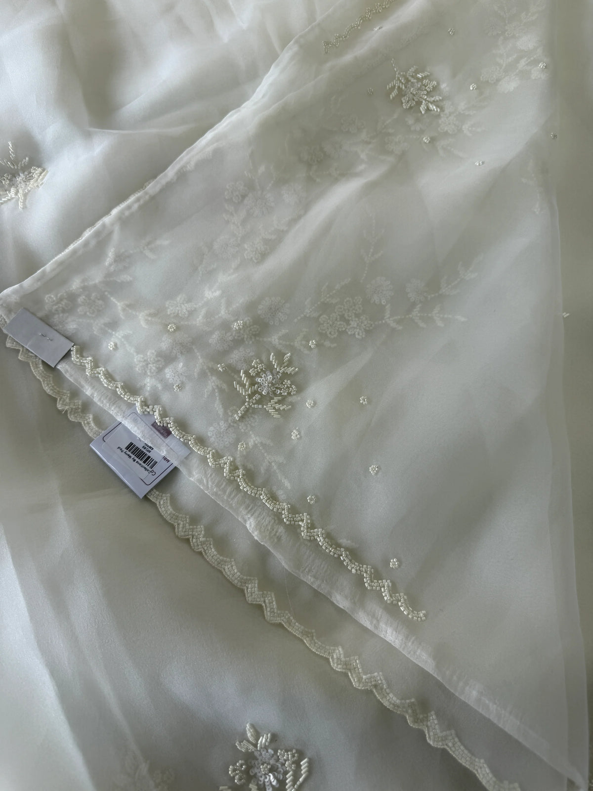 Glass organza saree/ AM109