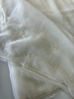 Glass organza saree/ AM109