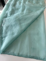 Glass organza saree/ AM109
