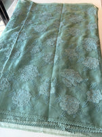 Soft Organza wit appliqué work / CW06