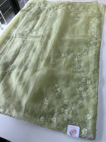 Glass organza saree/ AM109