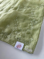 Glass organza saree/ AM109