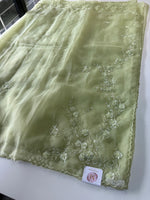 Glass organza saree/ AM109