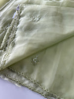 Glass organza saree/ AM109