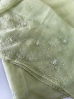 Glass organza saree/ AM109