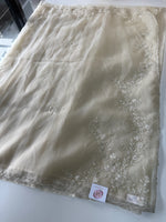 Glass organza saree/ AM109