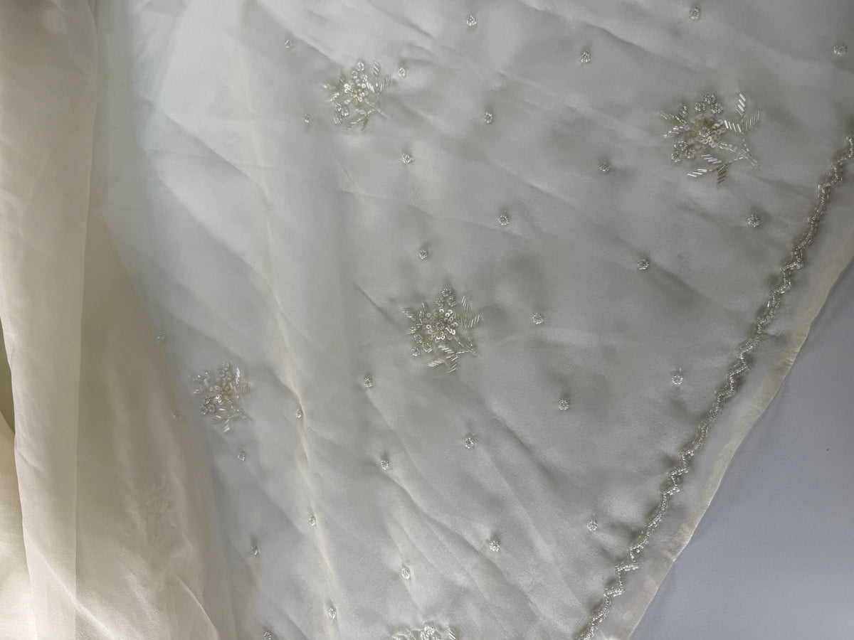 Glass organza saree/ AM109