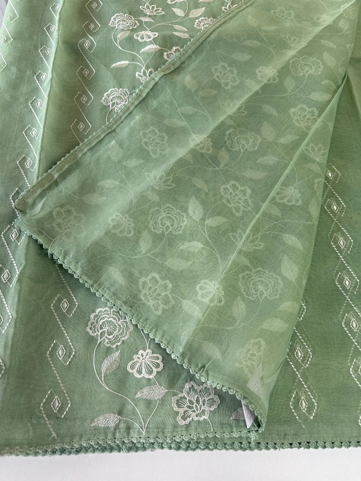 Chanderi Tissue saree/ D110