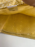 Chanderi Tissue saree/ D110