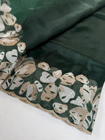 Glass Organza Saree/ CW493