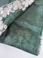 Glass Organza Saree/ CW493