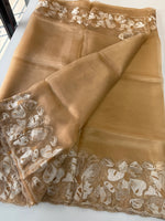 Glass Organza Saree/ CW493