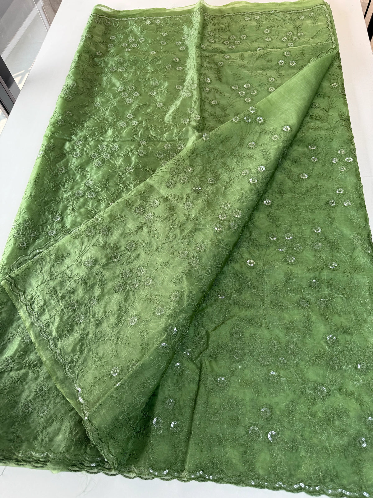 Soft Organza saree /CW239