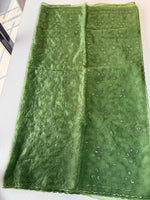 Soft Organza saree /CW239