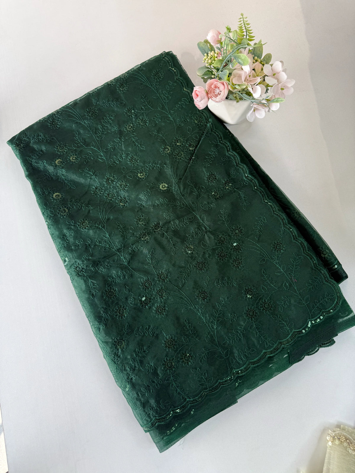 Soft Organza saree /CW239