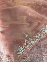 Tissue Organza Saree/ SA001