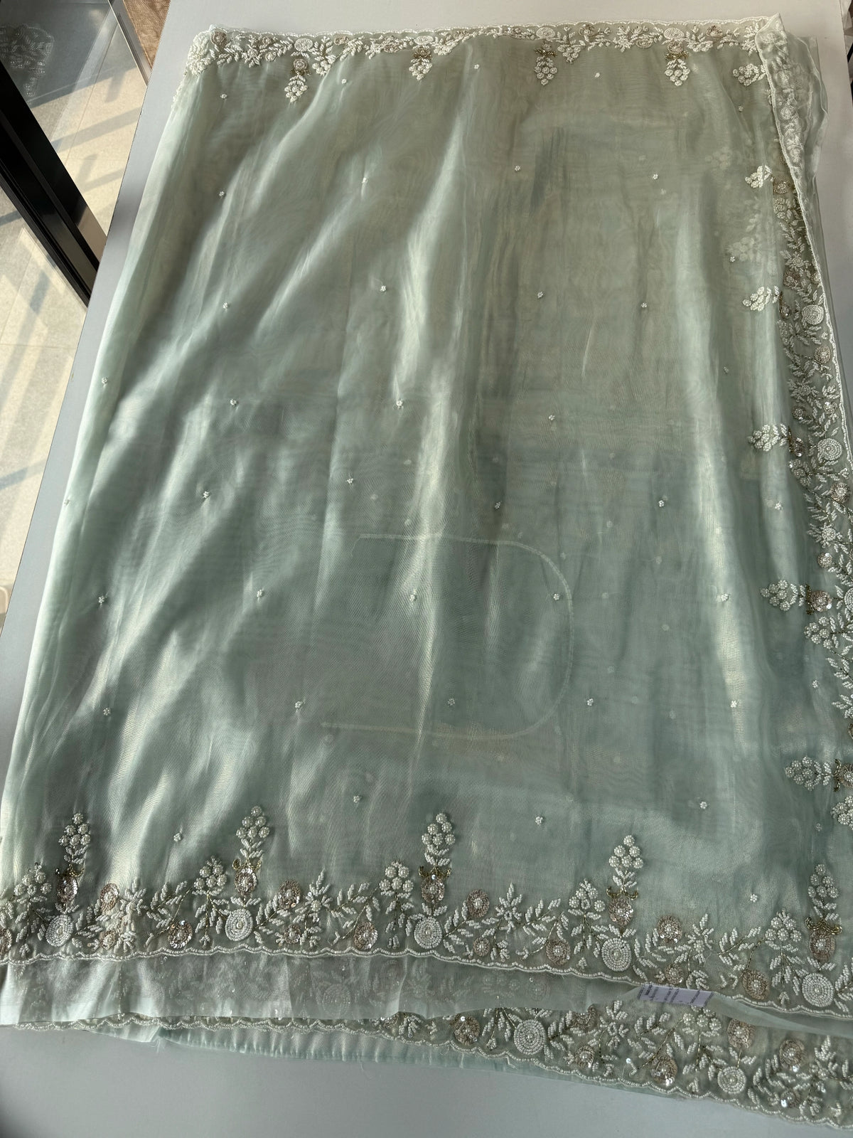 Tissue Organza Saree/ SA001