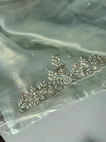 Tissue Organza Saree/ SA001