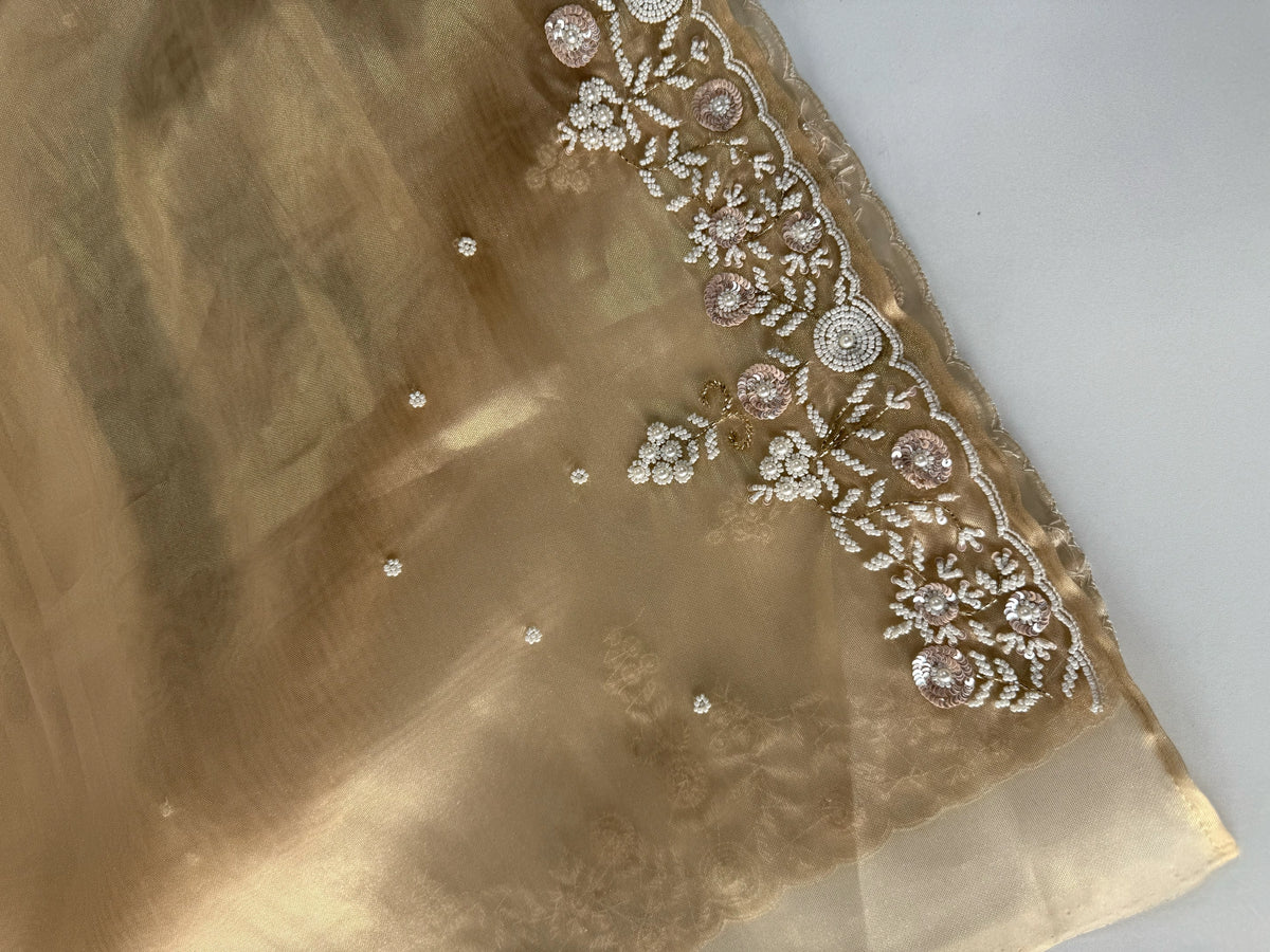 Tissue Organza Saree/ SA001