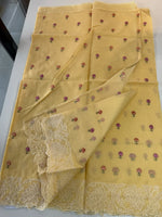 Net kotta saree/ 1798