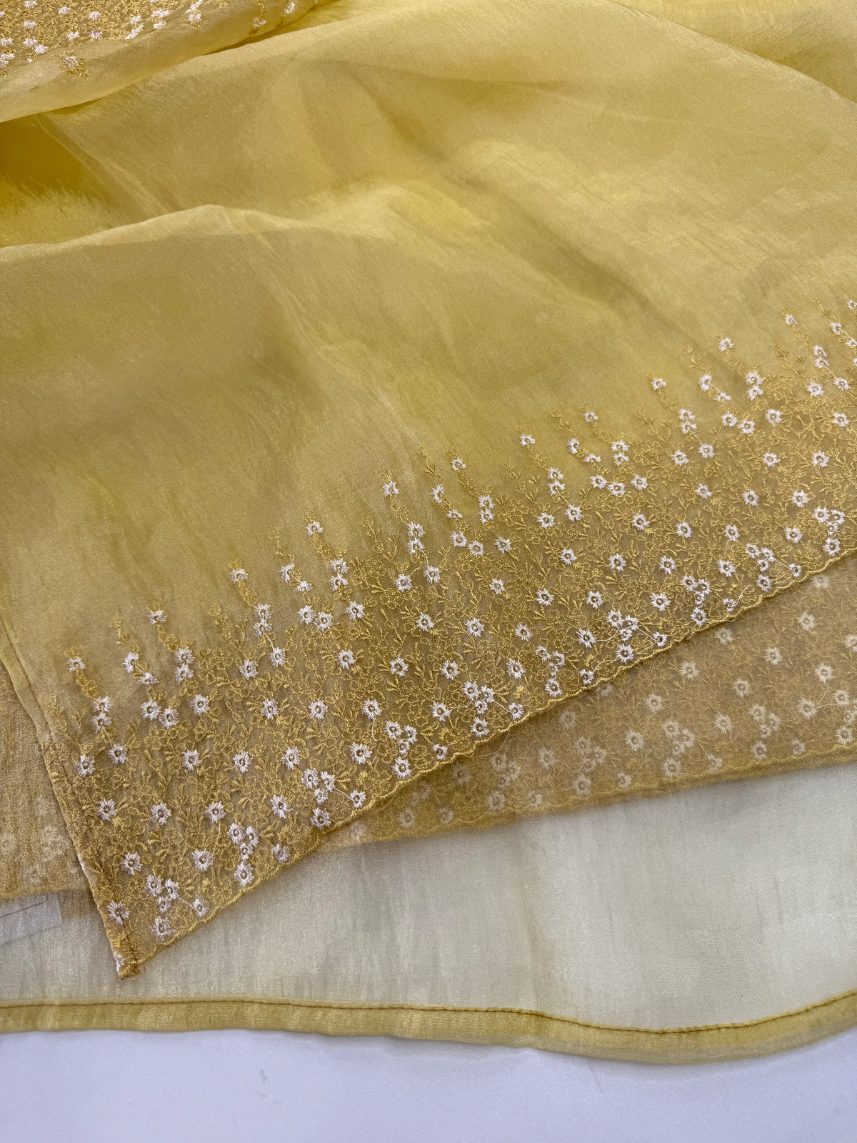 Soft Organza Saree/ CW533