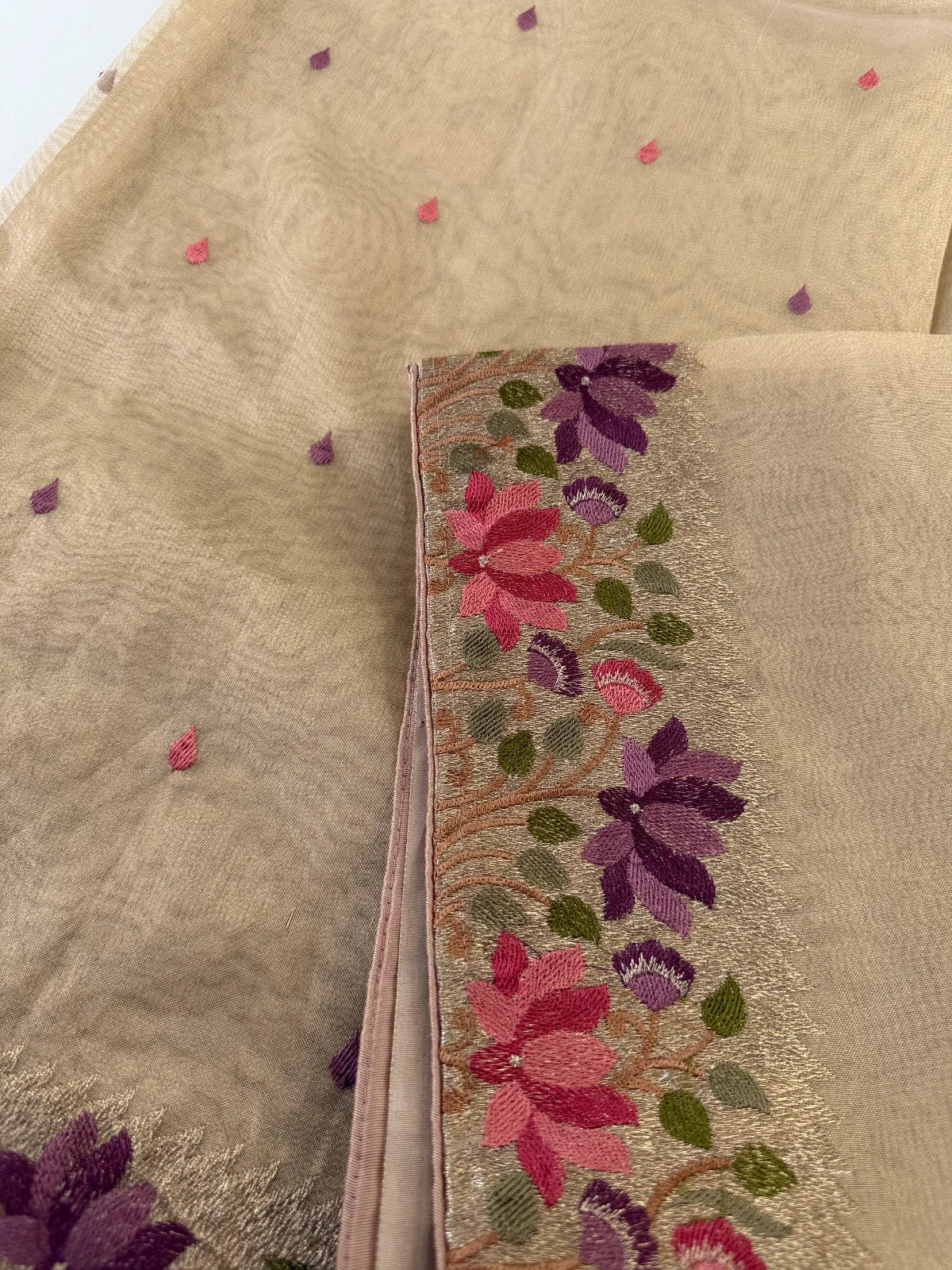 Tissue Organza saree/CW065