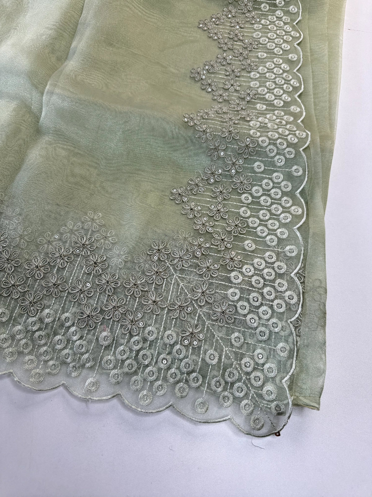 Glass Organza Saree/ N247