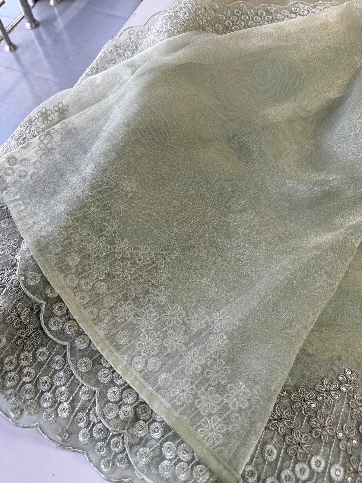 Glass Organza Saree/ N247
