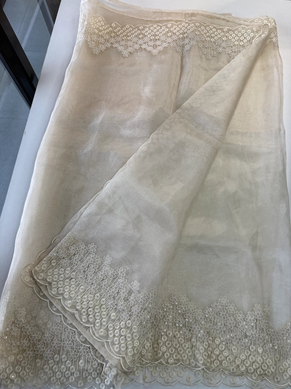 Glass Organza Saree/ N247
