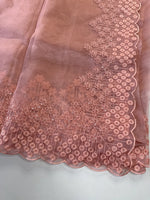 Glass Organza Saree/ N247